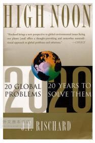 High Noon: 20 Global Problems, 20 Years To Solve Them 英文原版-《正午：20个全球问题，20年解决它们》