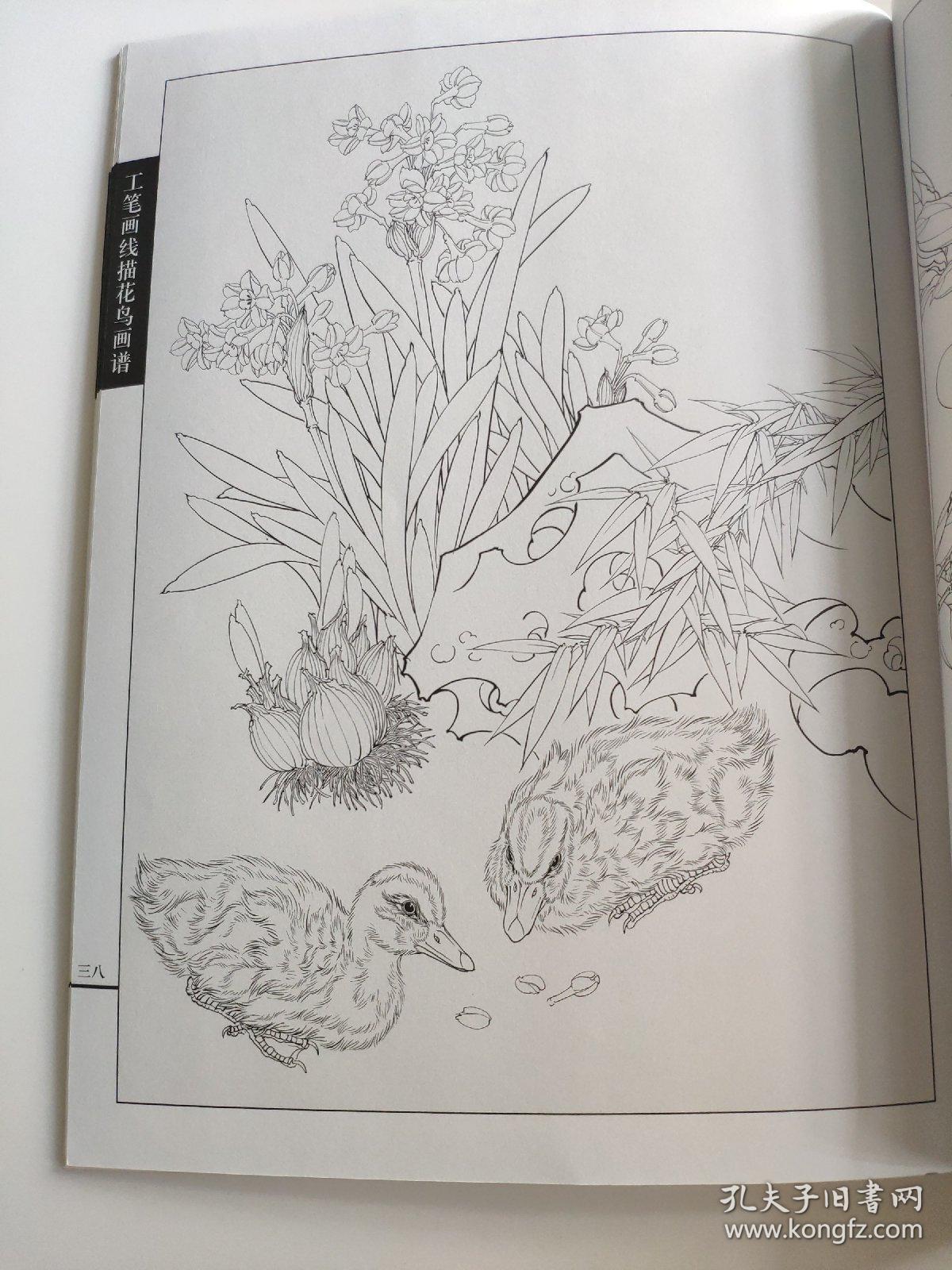 王智勇 著 翎毛小鸭小鸡工笔线描白描画谱 专门介绍工笔禽鸟类中小鸡