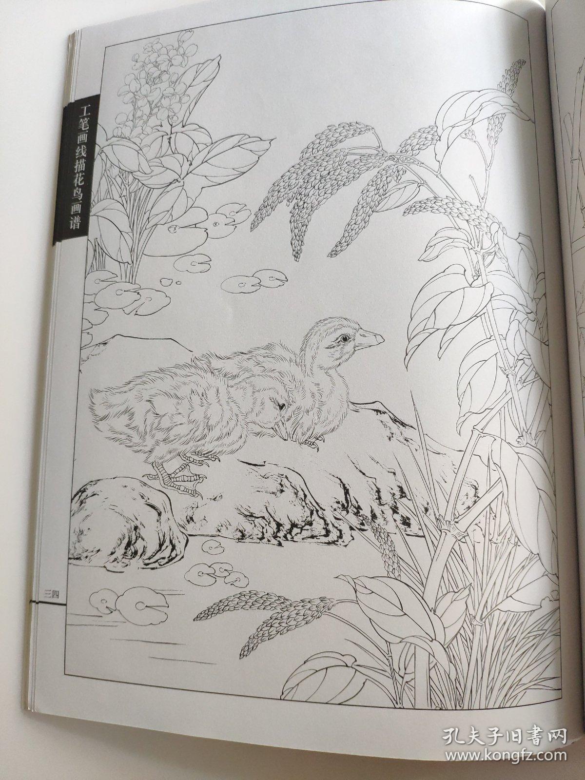 王智勇 著 翎毛小鸭小鸡工笔线描白描画谱 专门介绍工笔禽鸟类中小鸡