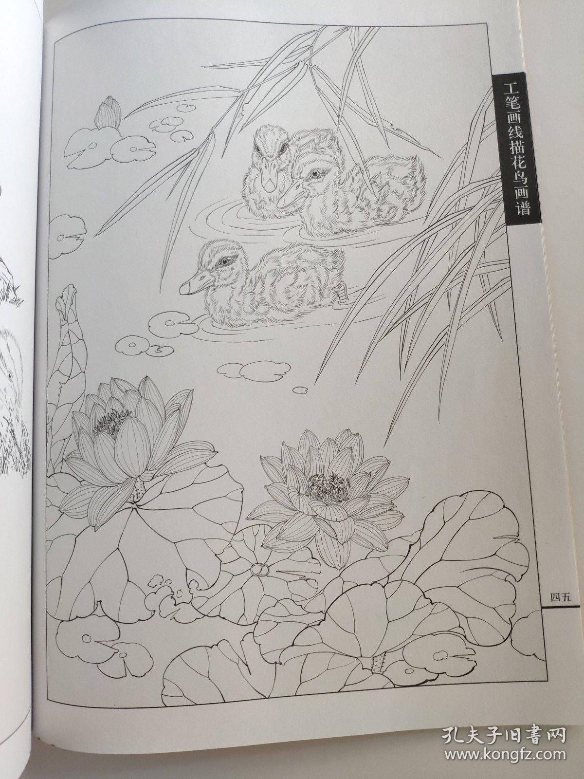王智勇 著 翎毛小鸭小鸡工笔线描白描画谱 专门介绍工笔禽鸟类中小鸡