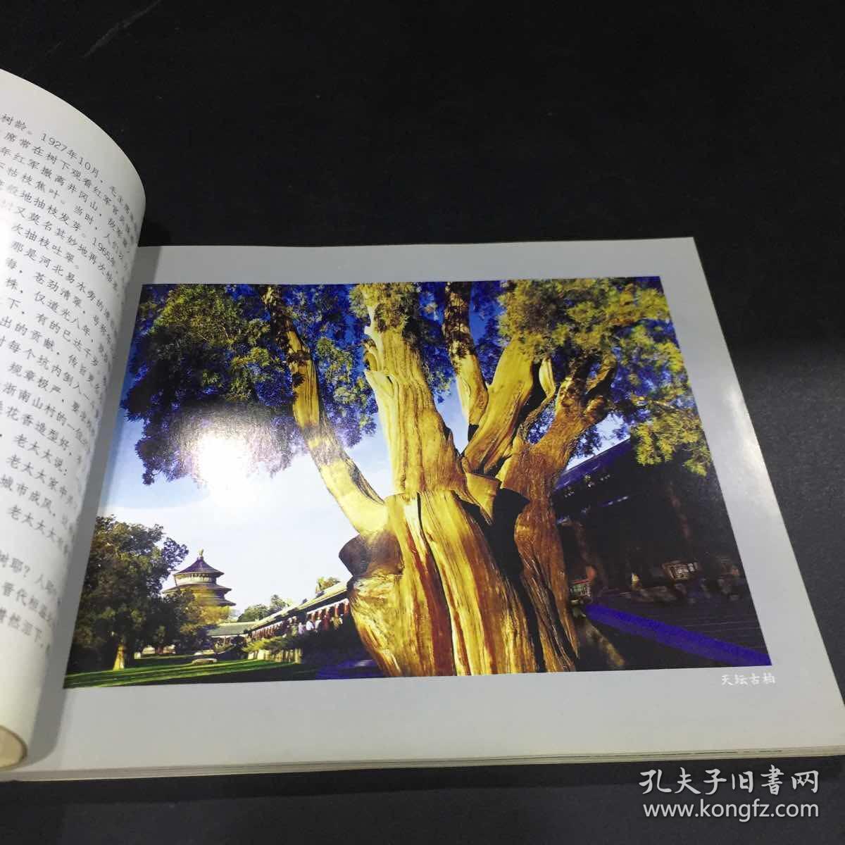 树犹如此【签赠本】