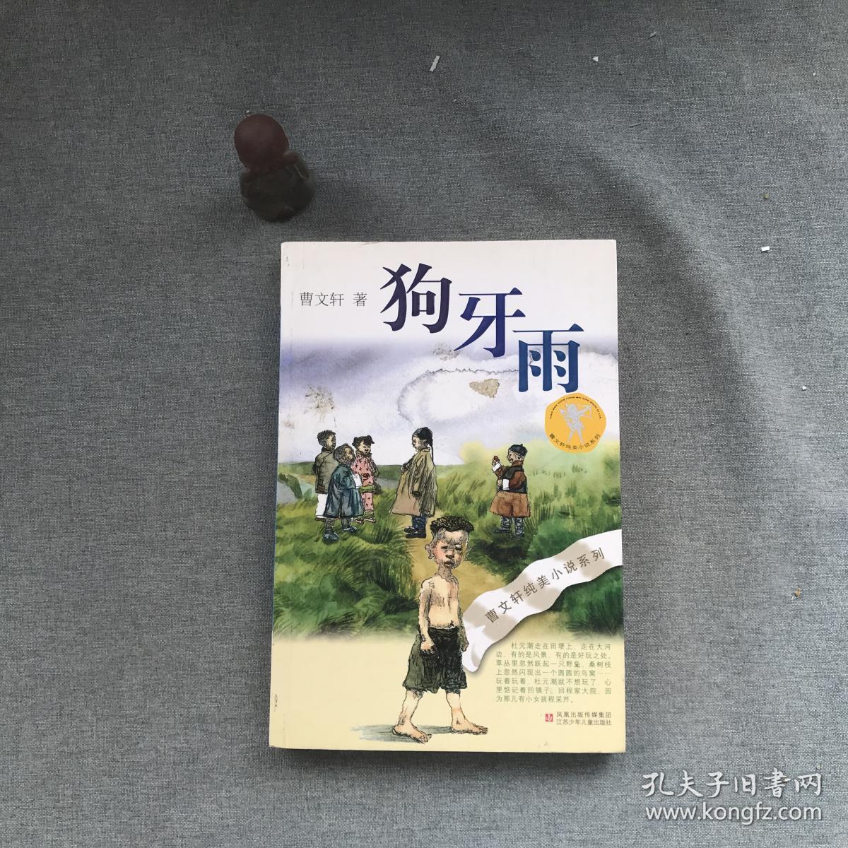 狗牙雨:曹文轩纯美小说系列