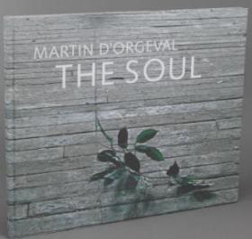 Martin dOrgeval: The Soul