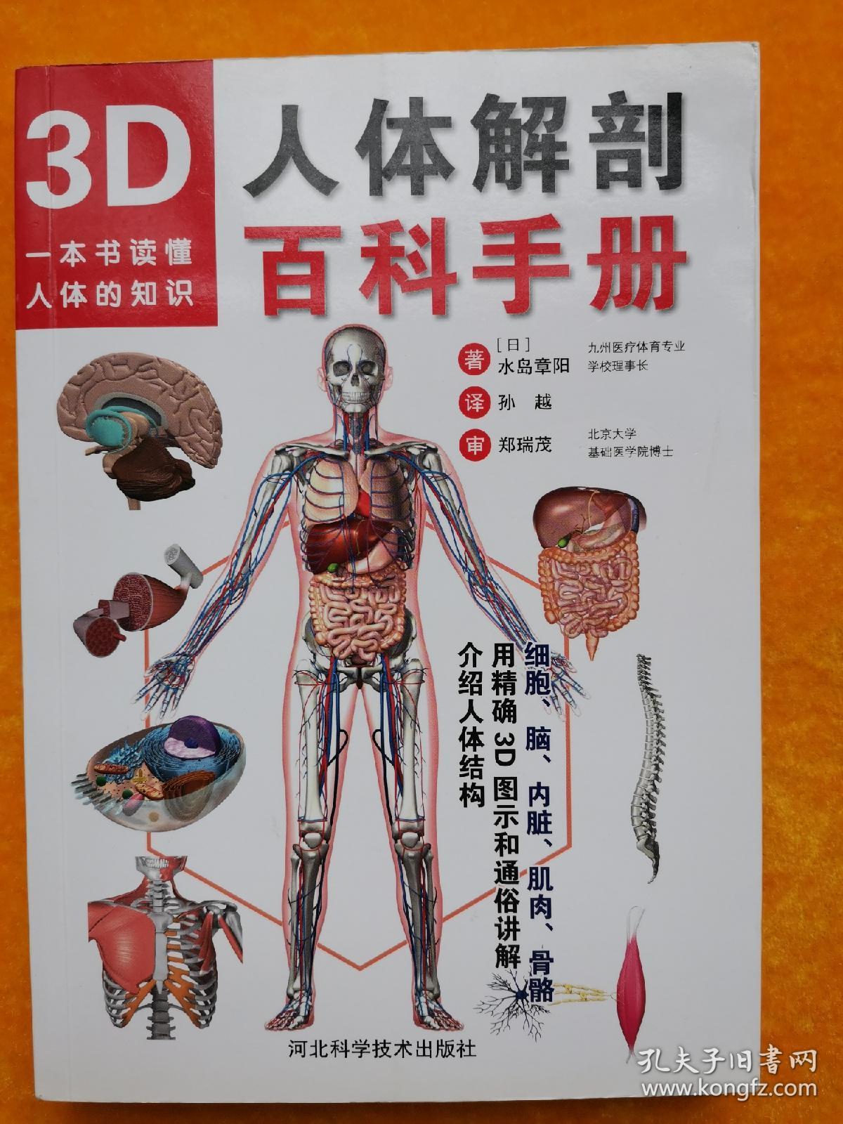 3d人体解剖百科手册