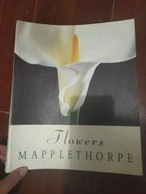 Flowers Mapplethorpe（英文版）