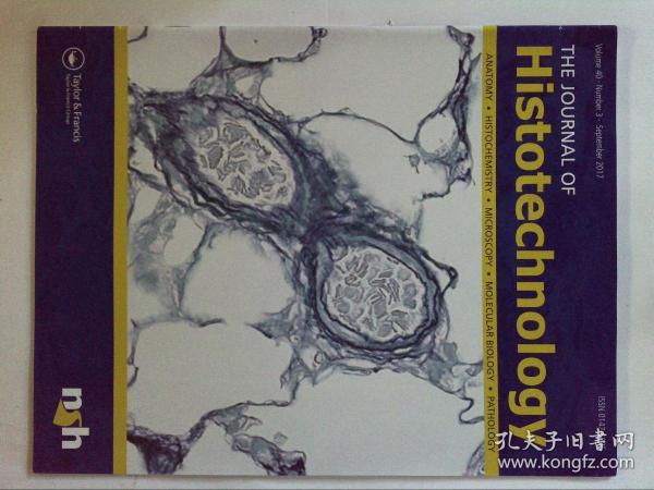 文史考古 历史 外文期刊 期刊