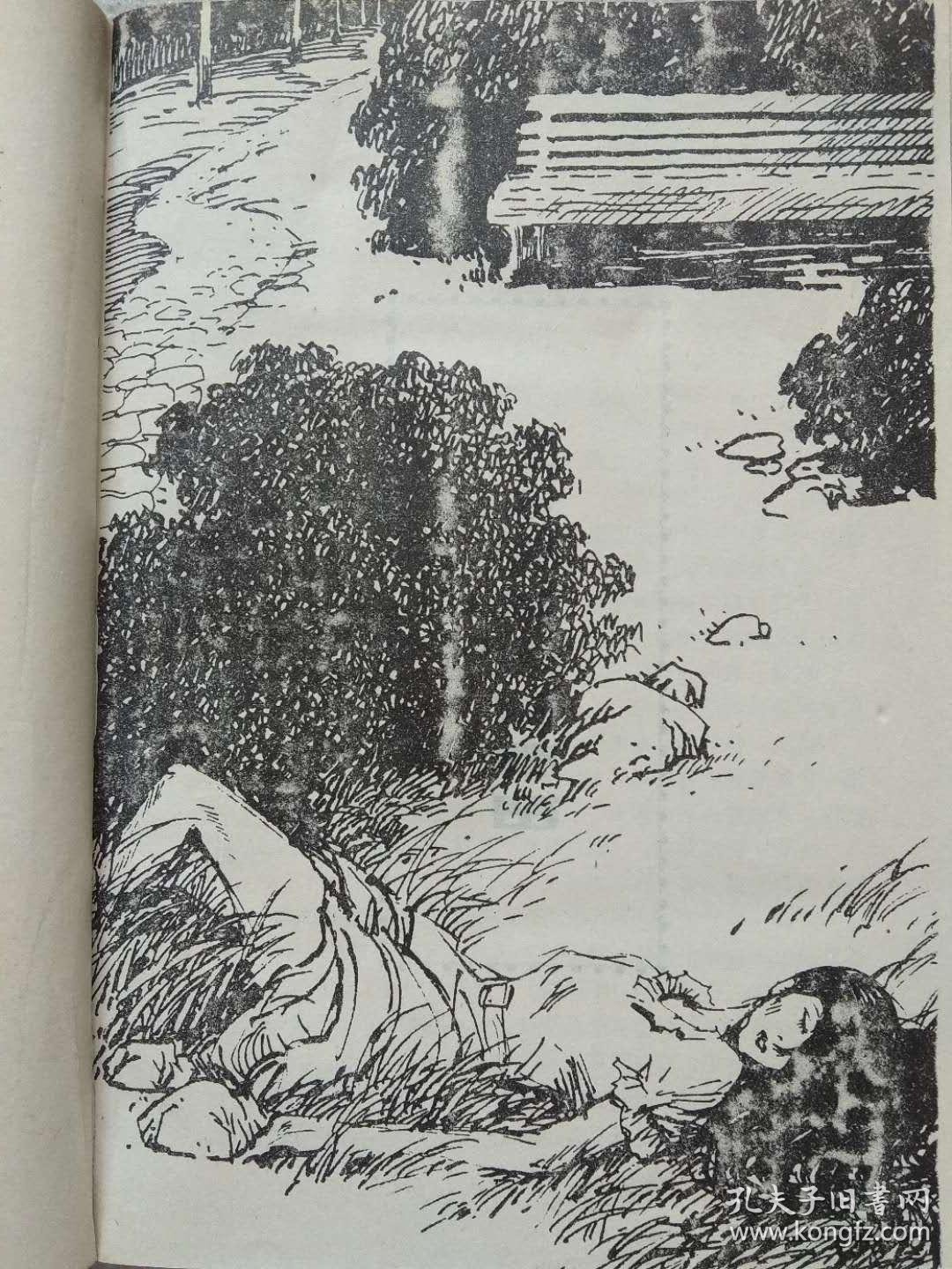 著名"文革"手抄本--梅花党(长篇间谍小说)--张宝瑞著 王建权插图 .