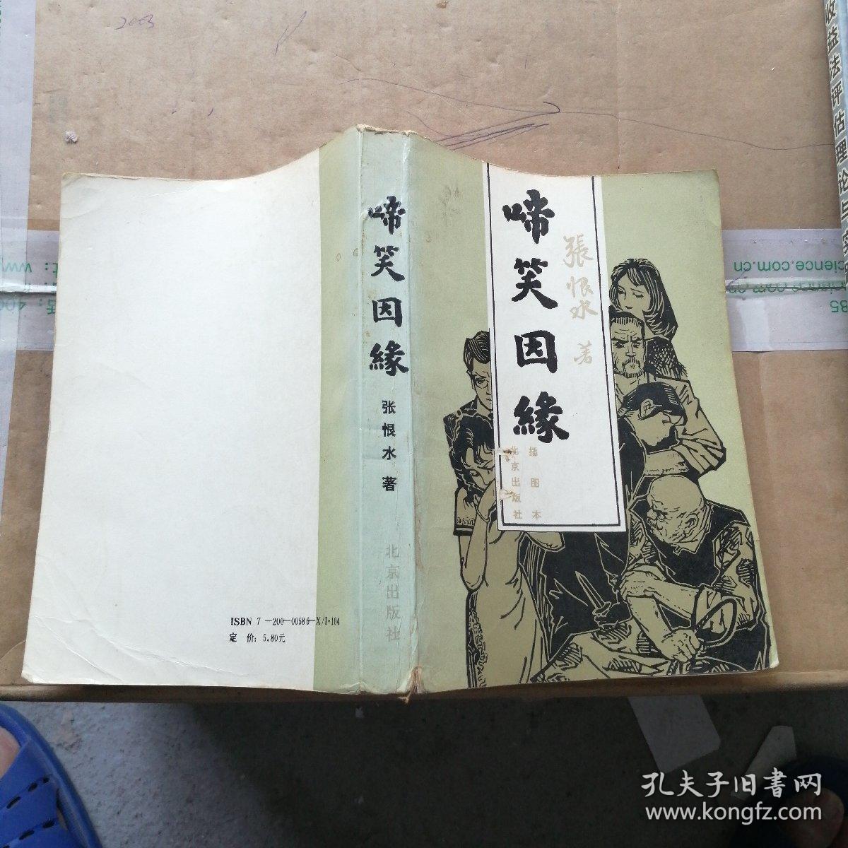 啼笑因缘(插图本)