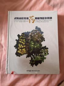 武陵山區傳統藥用植物彩色圖譜,山區,藥用植物.西南地區,圖譜,