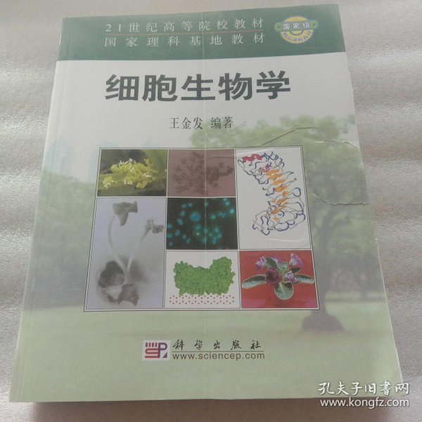 生物技术研发在医疗领域的革新与突破
