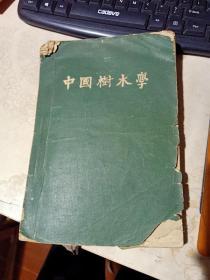 中国树木学（第一分册） 内有多个植物标本   一版一印  品如图