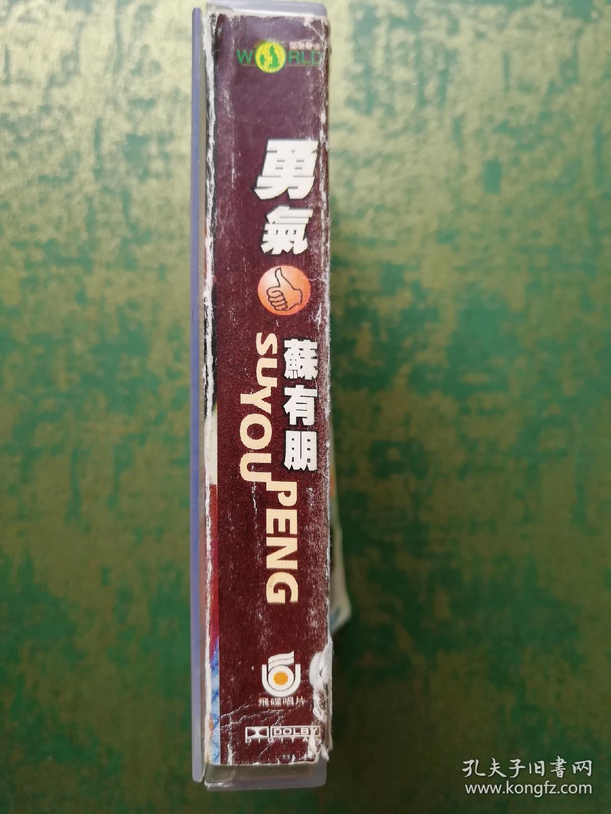 苏有朋《勇气》