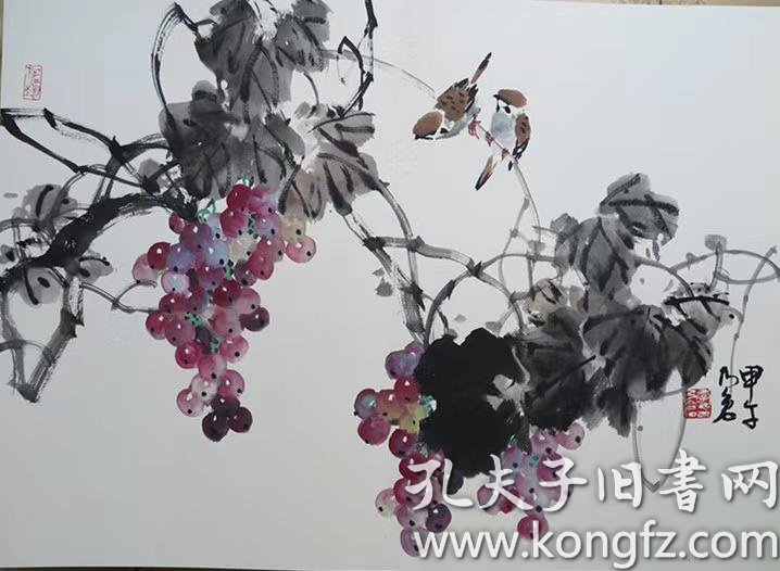 季乃仓中美协可合影写意花鸟四尺三开尺寸约69x45厘米多款