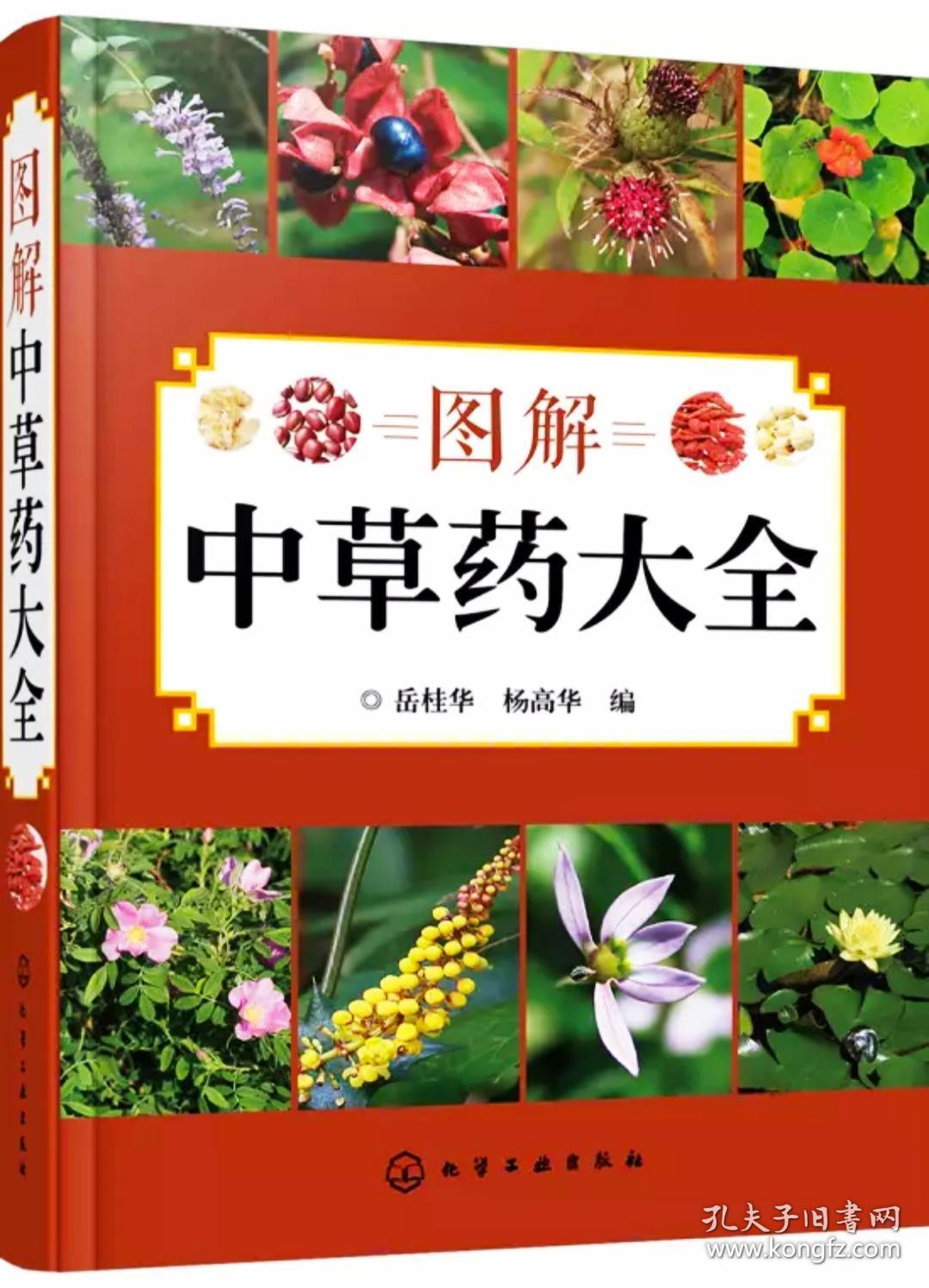 【正版保证】图解中草药大全 中草药彩图大全书
