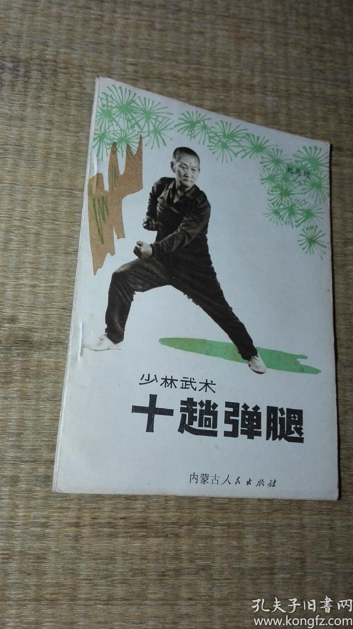 少林武术 十趟弹腿