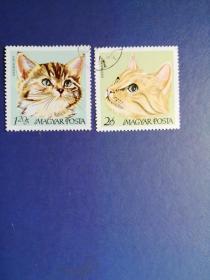 外國郵票  匈牙利郵票  1968年 世界名貓 2枚（蓋銷票 ）