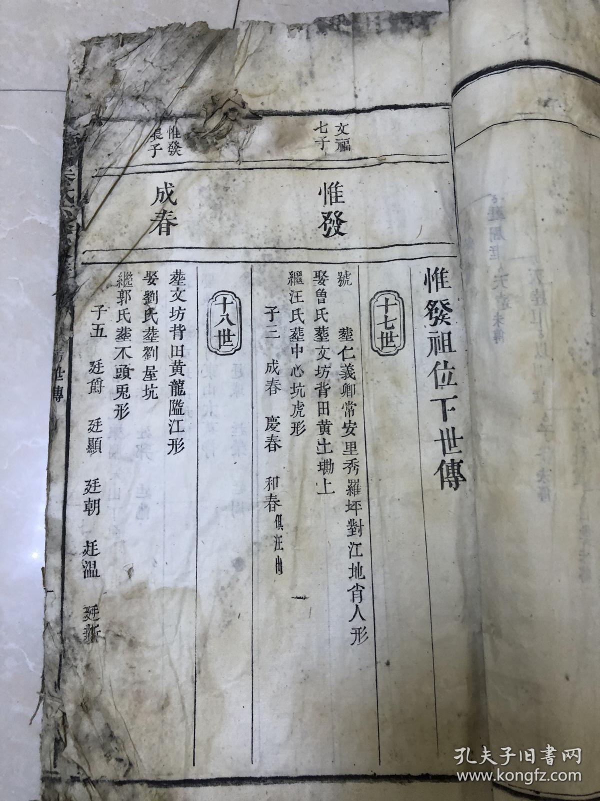 乾隆家谱 南阳叶氏六修族谱一册