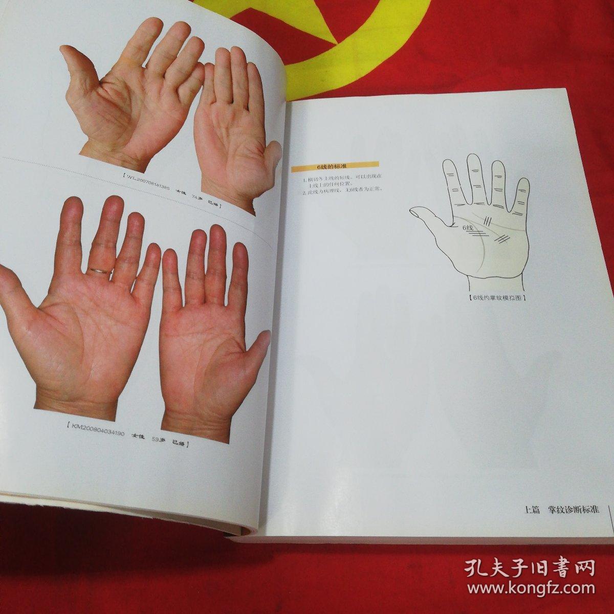 王晨霞掌纹图典