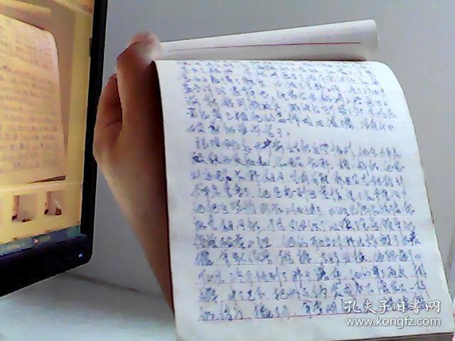 反革命梅花党被获记 手抄本【代售】