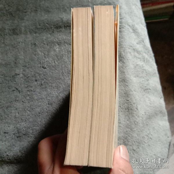 黑砂掌 黑沙掌 (上下册)(3-3)