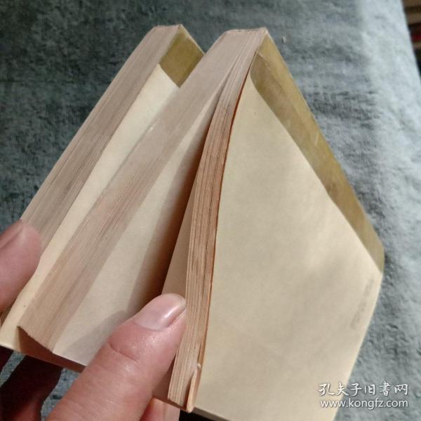 黑砂掌 黑沙掌 (上下册)(3-3)