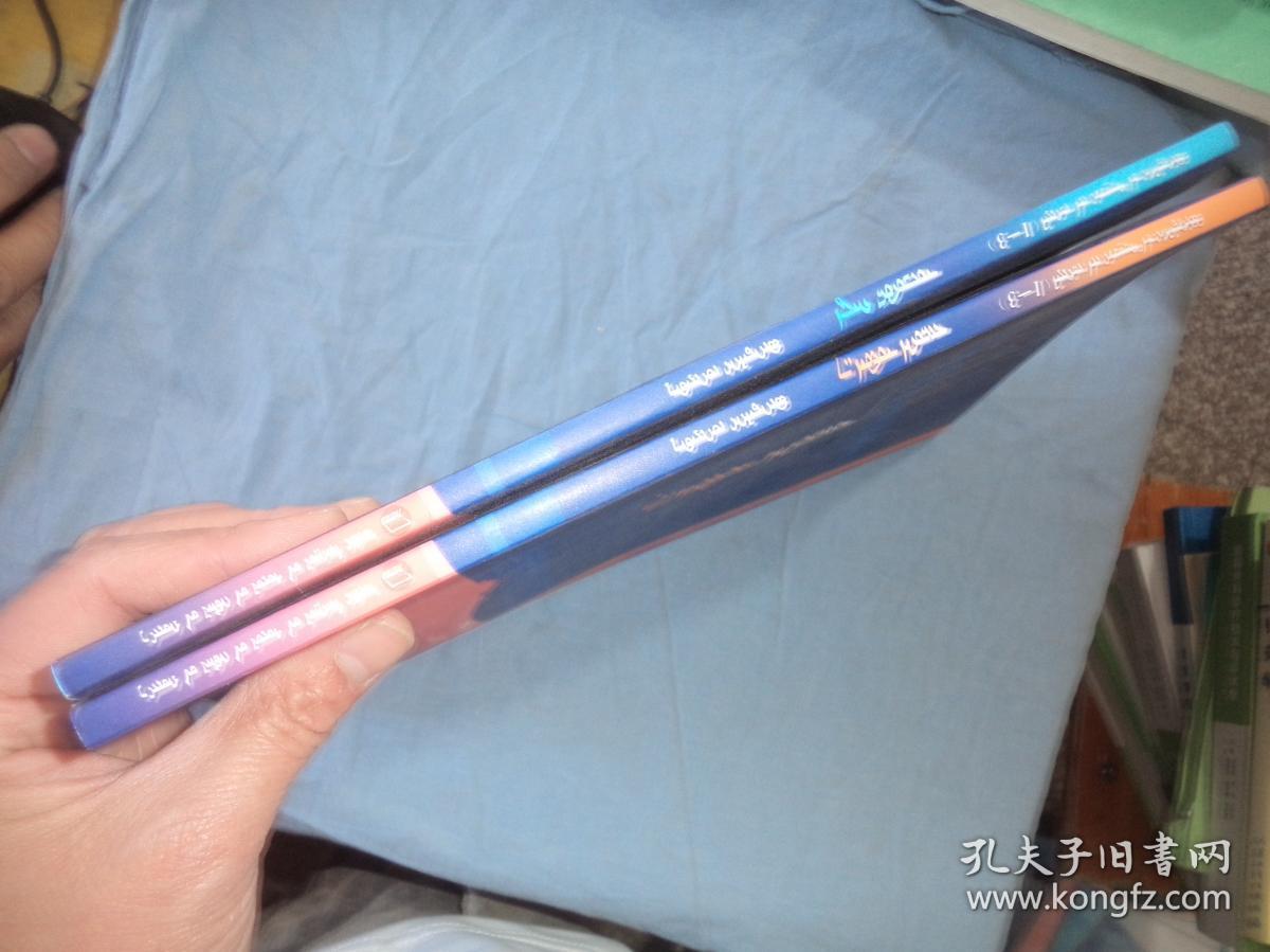 布和德力格尔中篇小说集 (珠日恒敖包 乌珠日哈达)蒙文 两本合售
