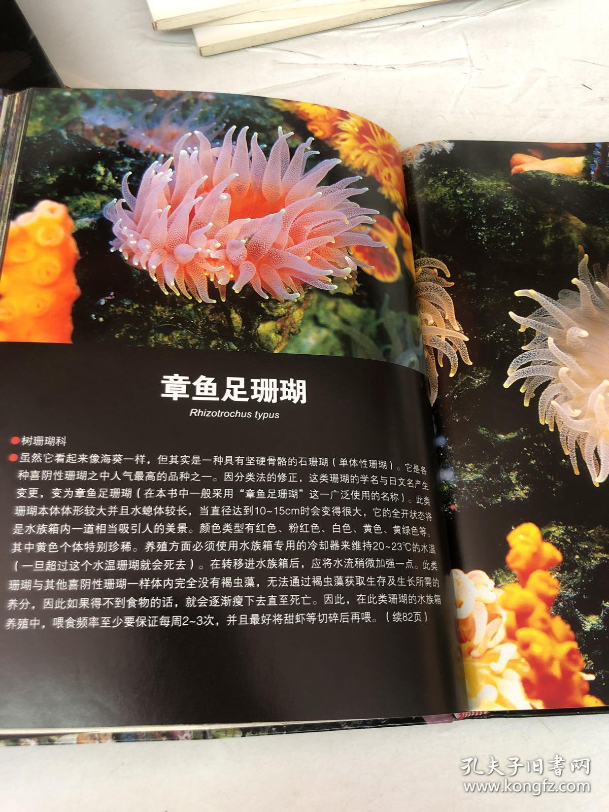 珊瑚图鉴:不可思议的珊瑚鉴赏图典