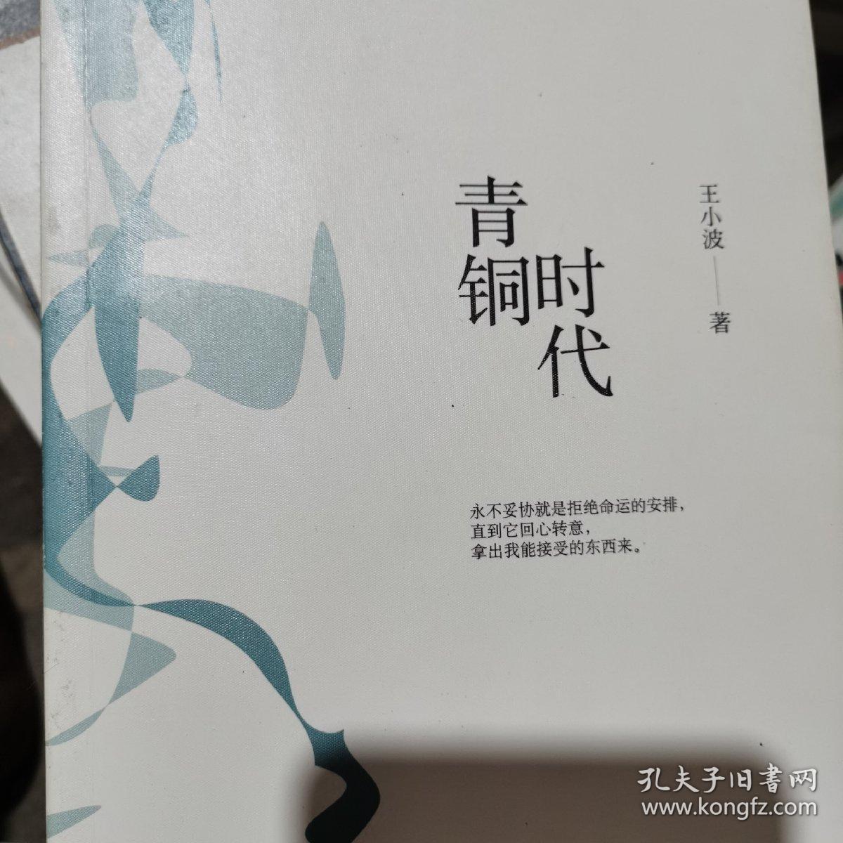 王小波时代三部曲:青铜时代