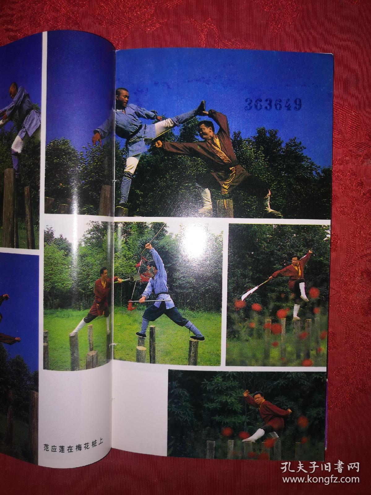 海灯法师 传 范应莲 著_孔夫子旧书网