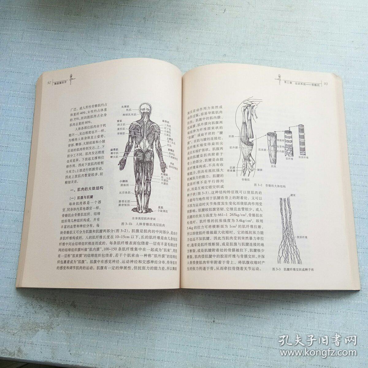 舞蹈解剖学 [16k----52]