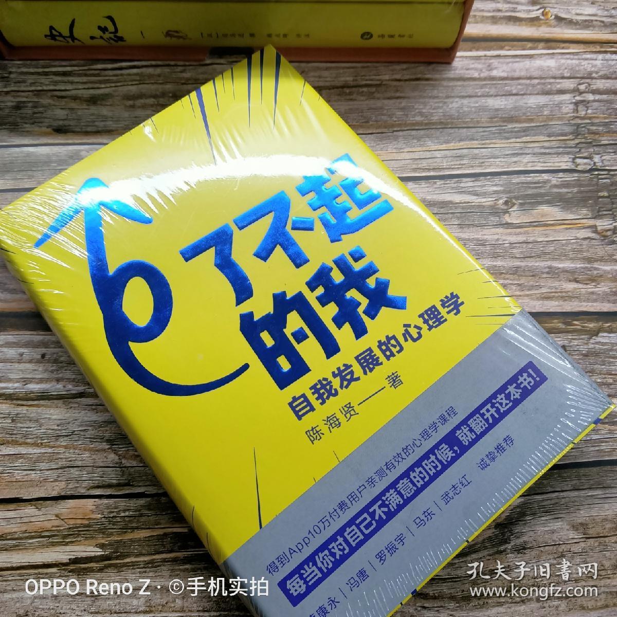 了不起的我:自我发展的心理学