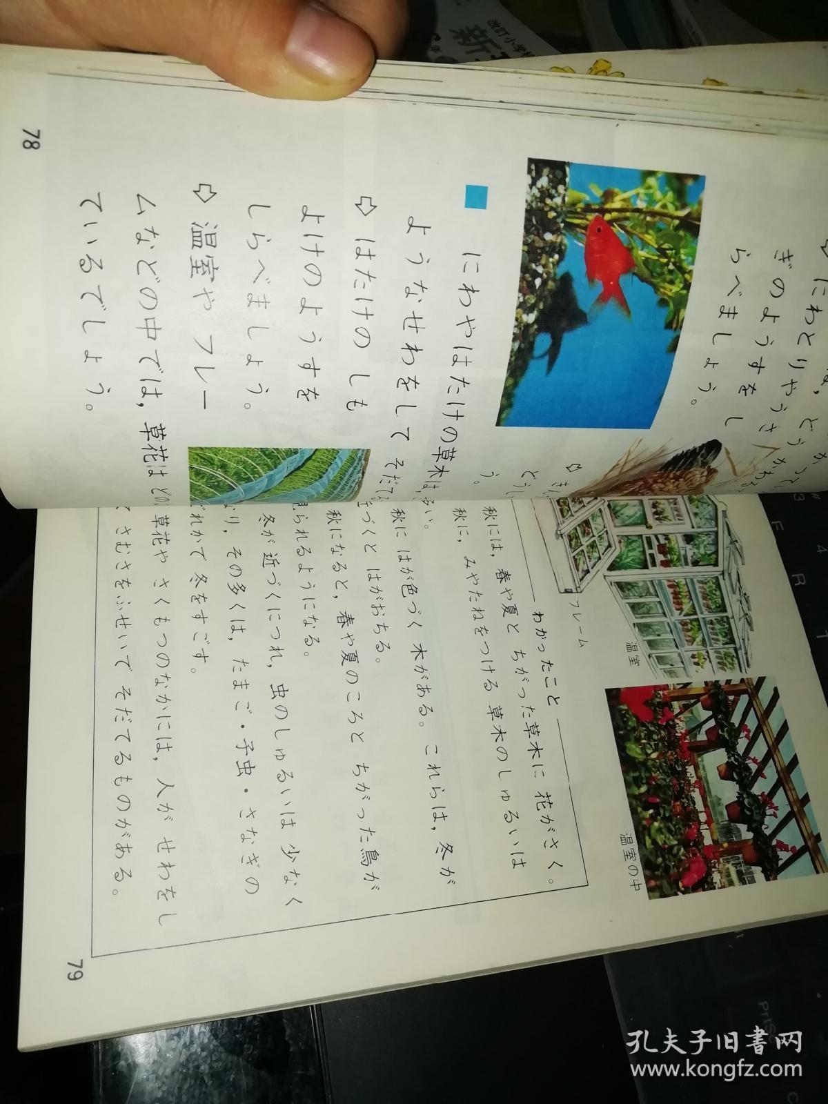 改订 理科3 教科书 【 昭和48年 日文 原版资料】 日本小学生课本