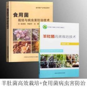 羊肚菌高效栽培技术 乡村振兴战略之乡村人才振兴食用菌类栽培技术书籍