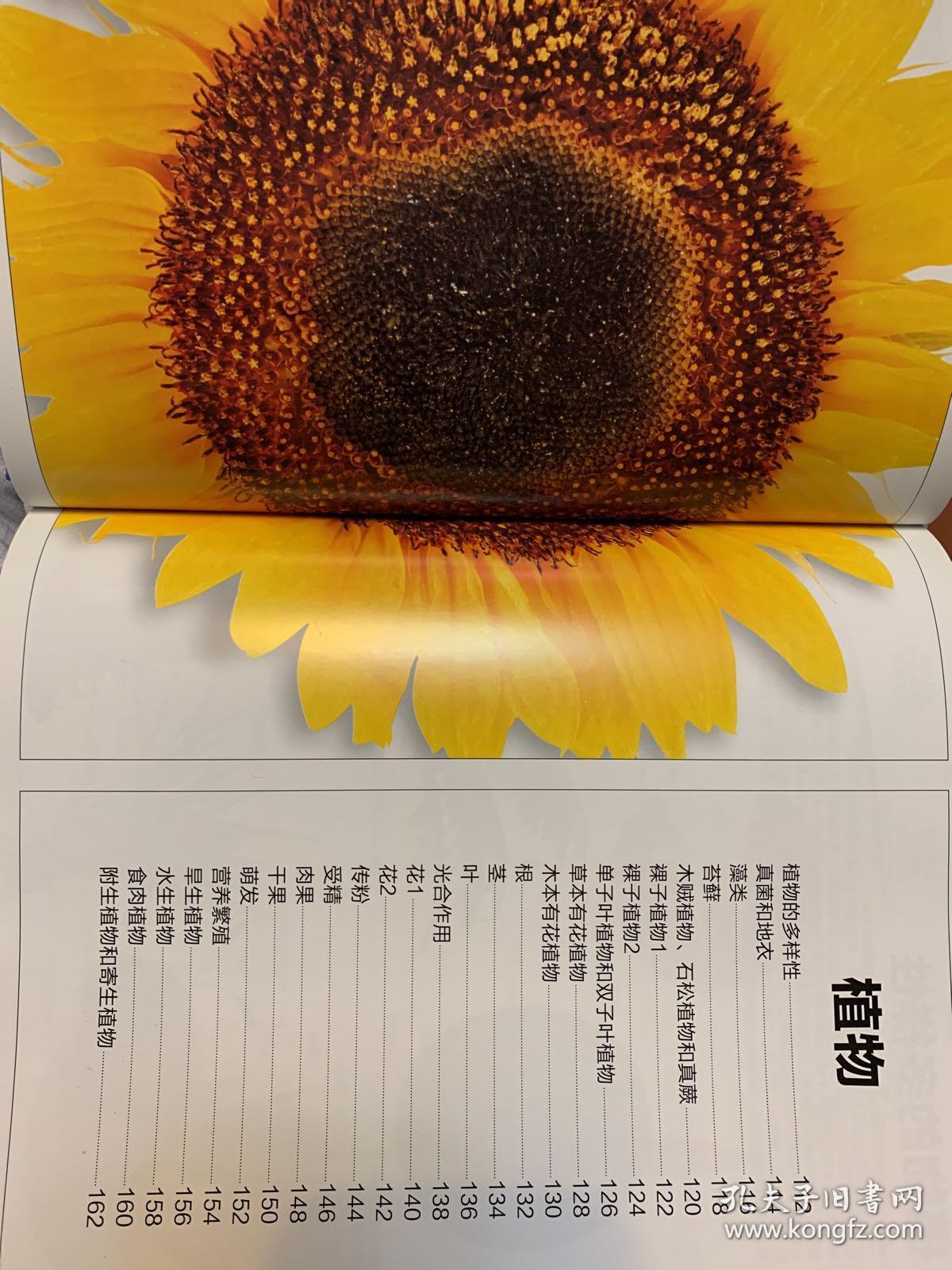 dk图解万物大百科(精装版 全彩)