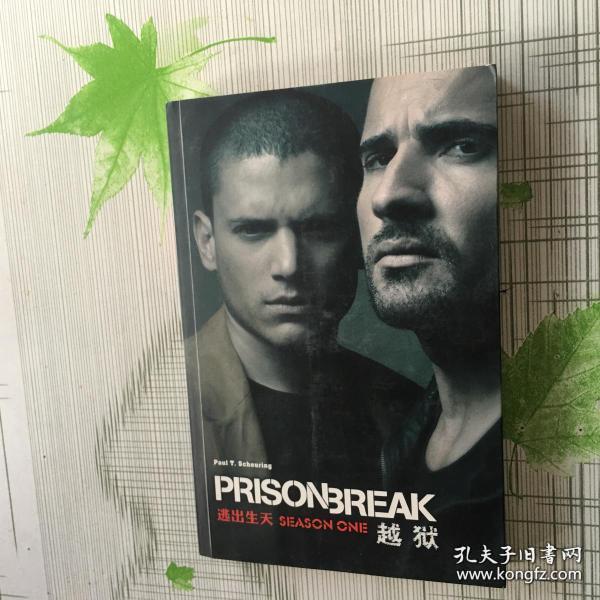 越狱 第一季 逃出生天
