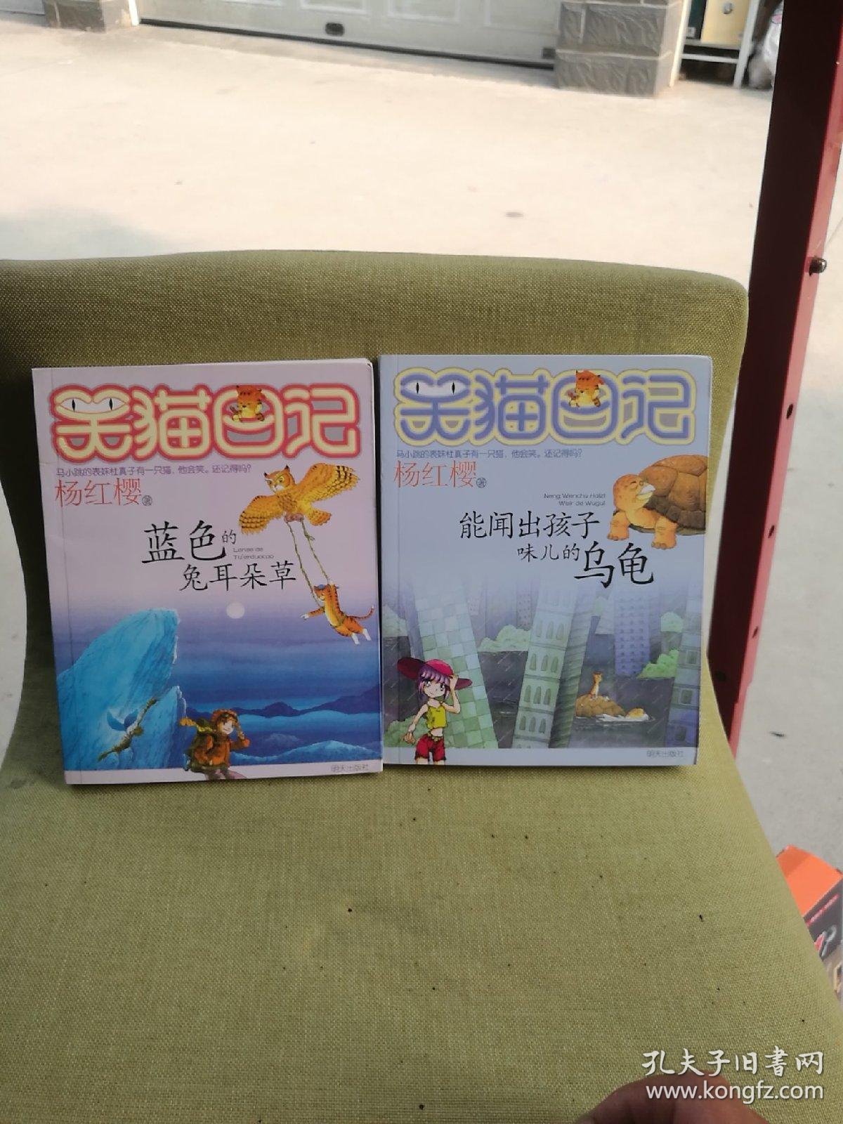 笑猫日记小猫出生在秘密山洞虎皮猫你在哪里能闻出孩子味儿的乌龟蓝色