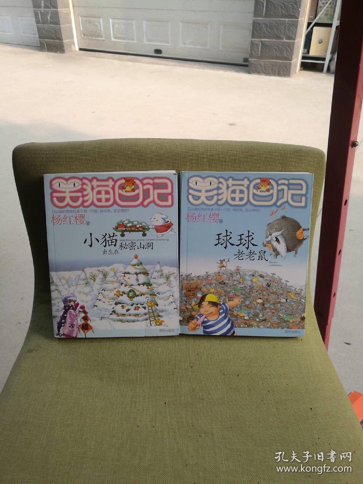 笑猫日记小猫出生在秘密山洞虎皮猫你在哪里能闻出孩子味儿的乌龟蓝色