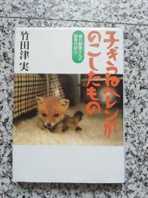 原版日本日文书 森の兽医さんの动物日记2　子ぎつねヘレンがのこしたもの