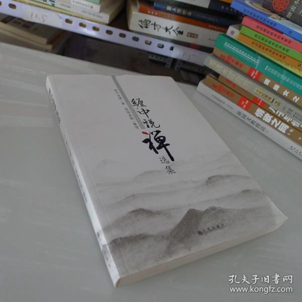 缠中说禅选集(缠中说禅;股海盗贼)_简介_价格_经济书籍_孔网