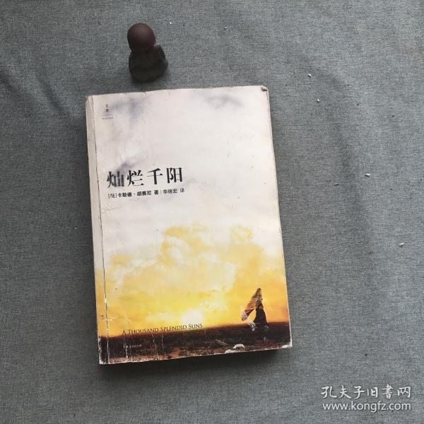 灿烂千阳([美]卡勒德·胡赛尼 著;李继宏 译)_简介_价格_小说书籍_孔