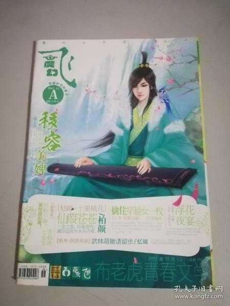 飞魔幻杂志2011年第12期a穿越时空的爱恋花火布老虎青春文学