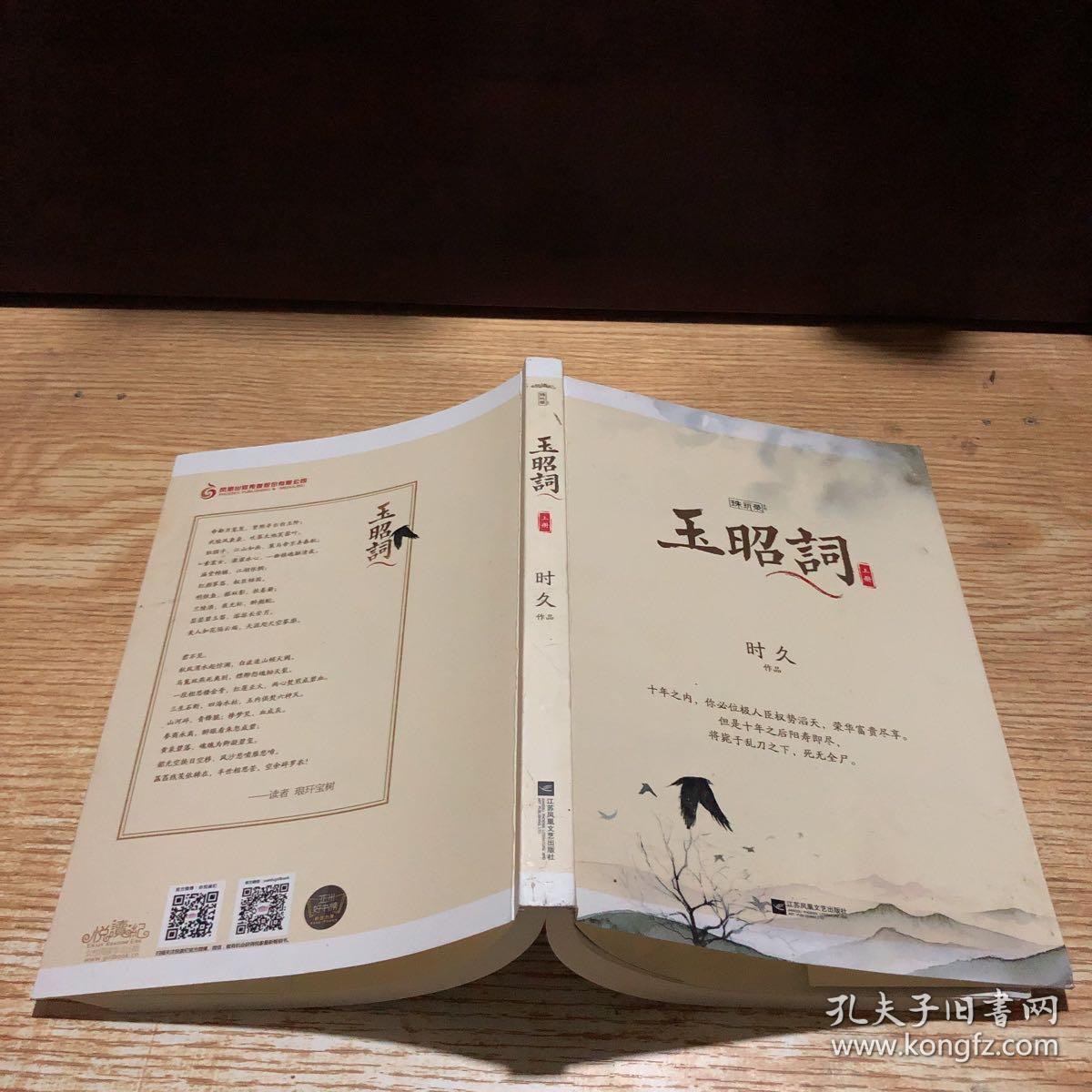 玉昭词:时久经典成名作,网络原名《镇魂调》