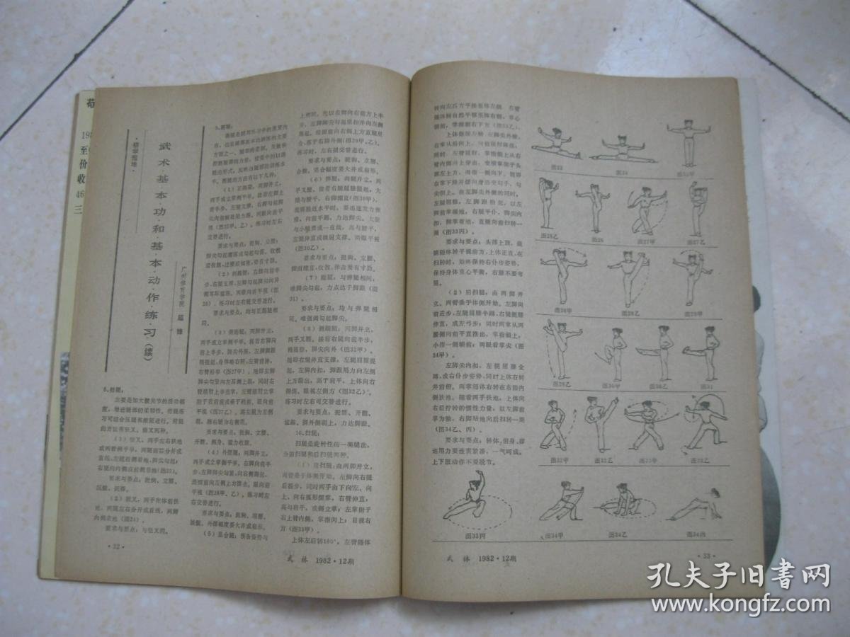 面壁 绝技惊天——访全国佛协理事峨嵋武术高僧海灯法师;少林地术犬法