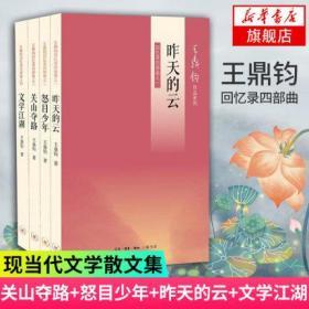 正版现货全新 王鼎钧回忆录四部曲 关山夺路+怒目少年+昨天的云+文学江湖 全4册套装 现当代文学散文随笔 名家作品集畅销