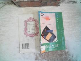 命运之旅 名著人物画廊