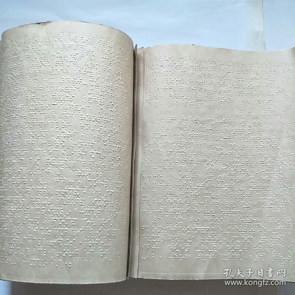 盲文版 全国盲人按摩专业统编教材:中药与方剂 上下册