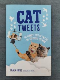 Cat Tweets