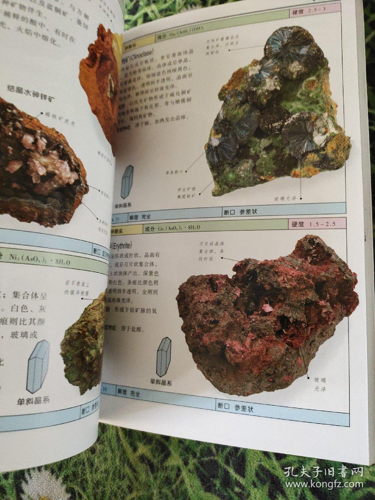 岩石与矿物:全世界500多种岩石与矿物的彩色图鉴