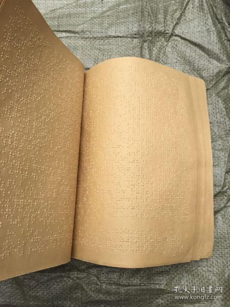 举报 中药学 第九版 十二五规划教材 八册全盲文版