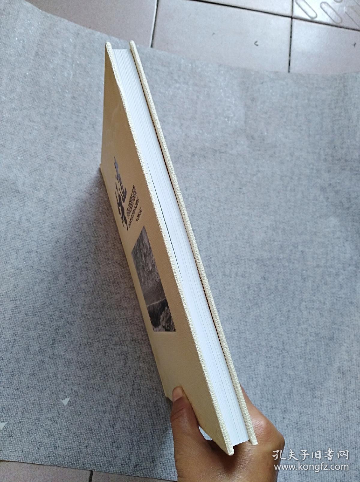 悟道-李际山摄影作品集